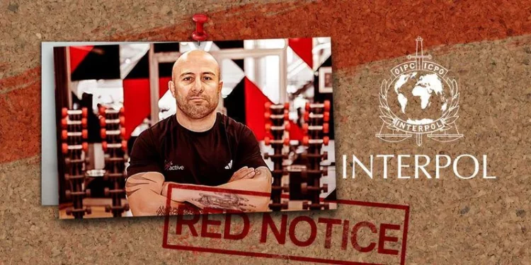 Interpol-Wanted Drug Trafficker Arrested in South Africa | Southafriworld