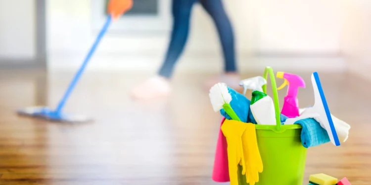 Domestic worker jobs still down since 2019 | Southafriworld