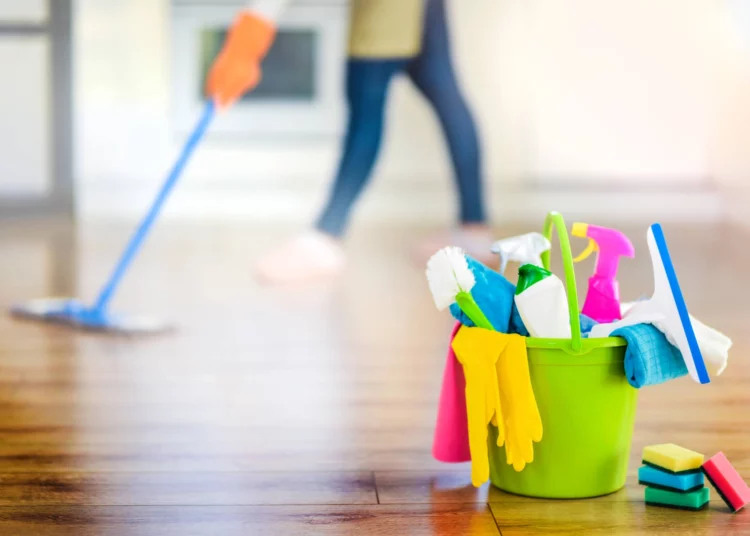 Domestic worker jobs still down since 2019 | Southafriworld