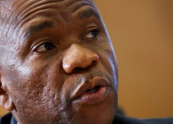 Nhlanhla Mkhwanazi appearing before Parliament as competing allegations involving Vusimuzi Cat Matlala come under scrutiny