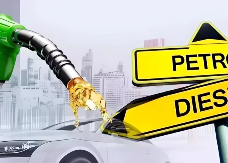 Petrol and diesel pumps at a South African filling station as government says fuel supply remains secure for now