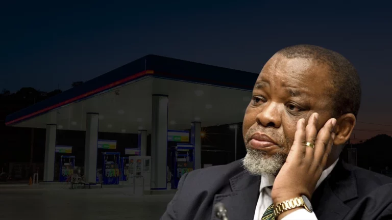South African petrol station forecourt as Gwede Mantashe warns retailers against withholding fuel