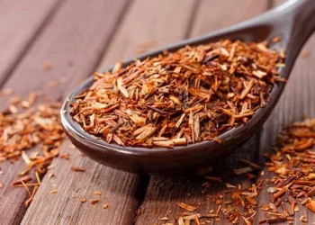 South Africa's rooibos heads to space | Southafriworld