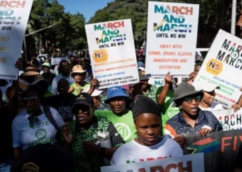 Anti-migrant protests: probe into outsiders | Southafriworld