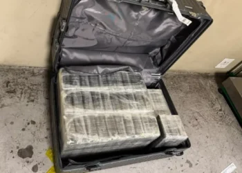 OR Tambo cocaine: 333kg seized in one bust | Southafriworld