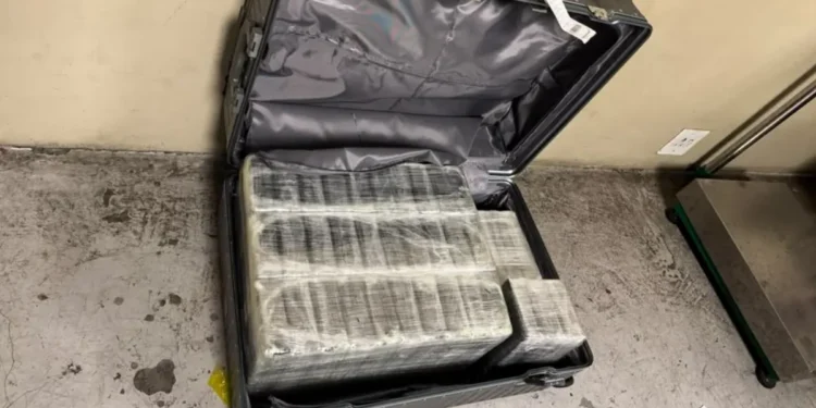 OR Tambo cocaine: 333kg seized in one bust | Southafriworld