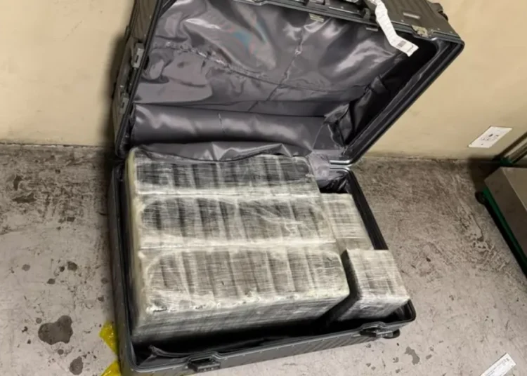 OR Tambo cocaine: 333kg seized in one bust | Southafriworld