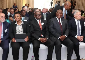 1 Million Jobs by 2030: SA's New Target | Southafriworld