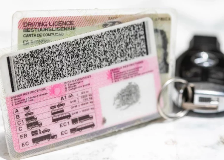 Driving Licence Renewal: Cost and Steps | Southafriworld
