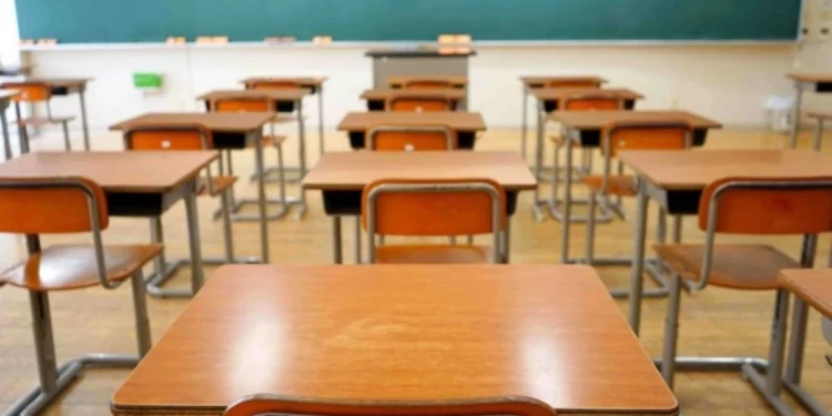 WhatsApp in schools: rules being drafted | Southafriworld