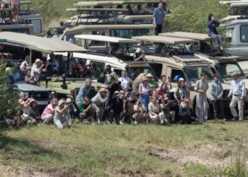 Serengeti Safari Vehicle Accident: Five Rescued