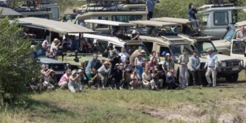 Serengeti Safari Vehicle Accident: Five Rescued