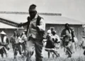 Sharpeville Massacre Lawsuit: The 1961 Law | Southafriworld