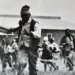 Sharpeville Massacre Lawsuit: The 1961 Law | Southafriworld