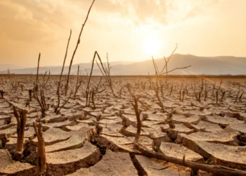 A full dam wall in South Africa ahead of the El Niño South Africa summer forecast