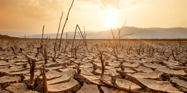A full dam wall in South Africa ahead of the El Niño South Africa summer forecast