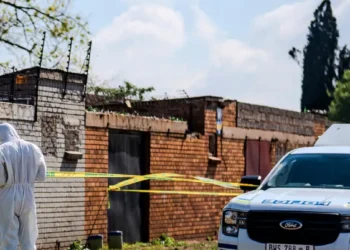 Ekurhuleni murders: what SAPS confirms | Southafriworld