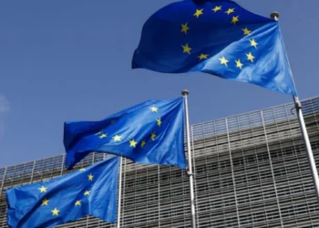 Green hydrogen South Africa: EU grants | Southafriworld