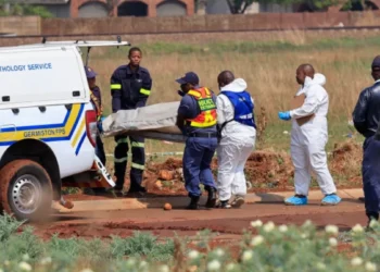 Ekurhuleni murders: ninth woman found | Southafriworld