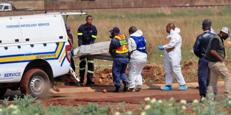 Ekurhuleni murders: ninth woman found | Southafriworld