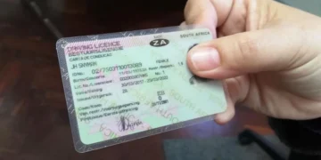 A South African citizen holding a temporary identity certificate at a Home Affairs office counter