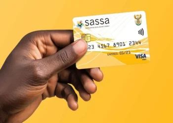 An applicant using a wheelchair speaking to an official at a SASSA office service counter