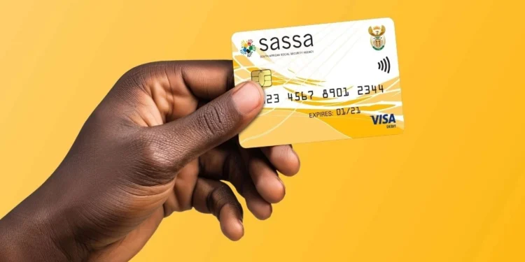 An applicant using a wheelchair speaking to an official at a SASSA office service counter